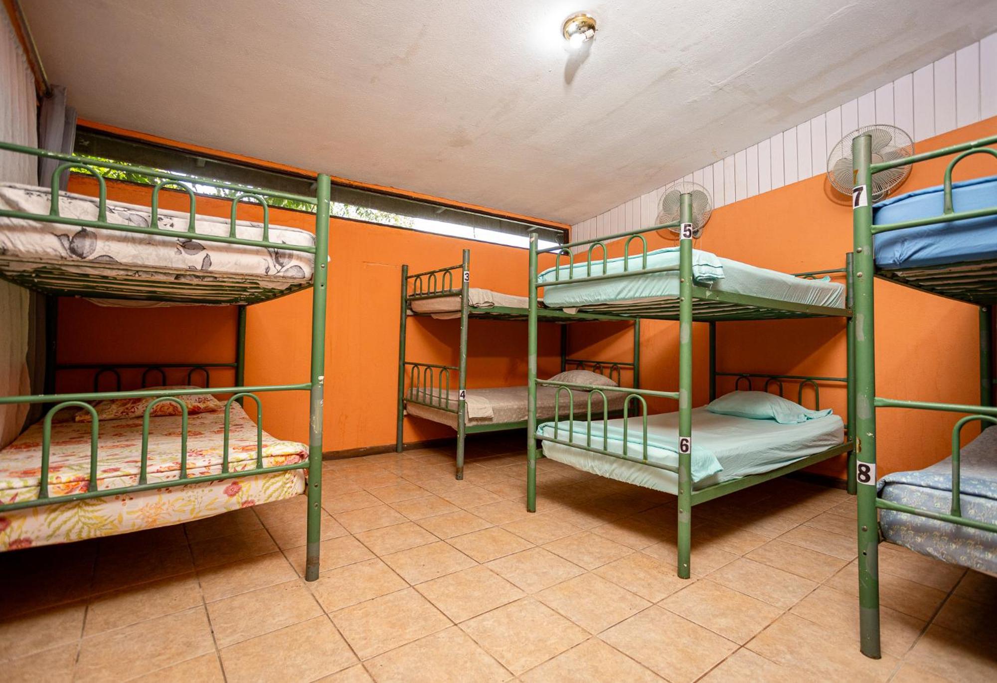 Manuel Antonio Hostel エクステリア 写真