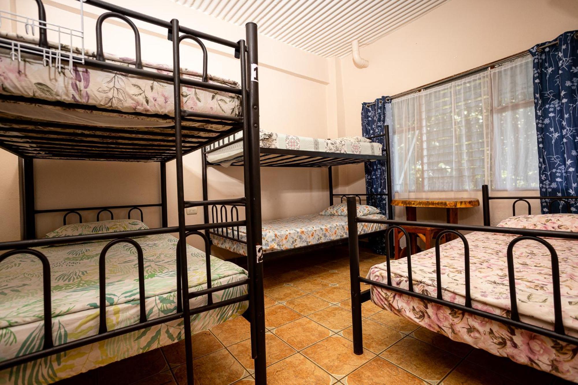 Manuel Antonio Hostel エクステリア 写真