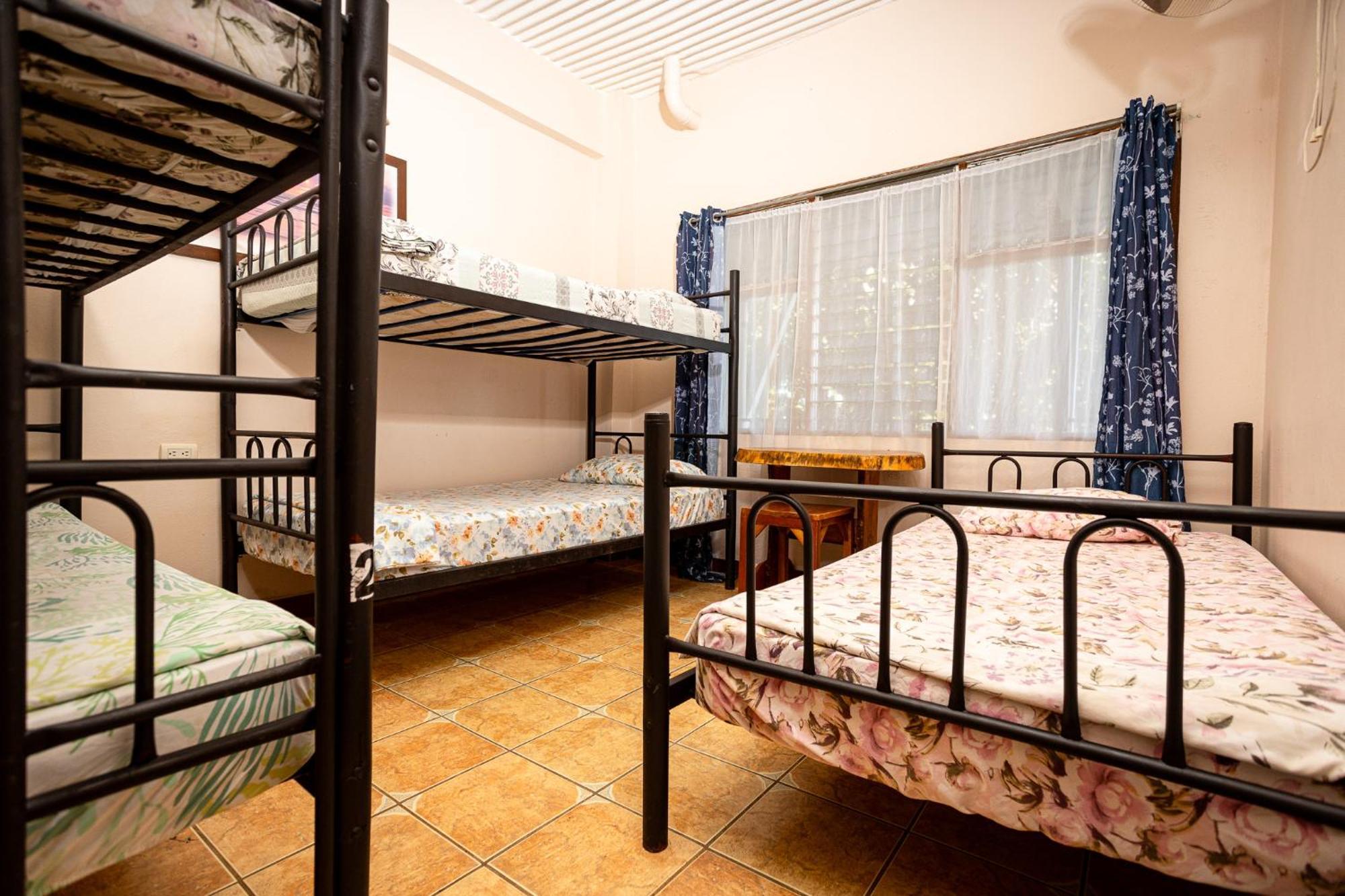 Manuel Antonio Hostel エクステリア 写真
